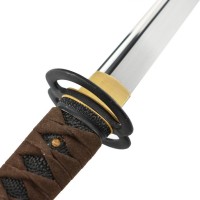 Hanwei Paul Chen Wakizashi S9