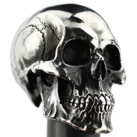 Hanwei Paul Chen Canne Skull